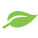 Leaf Icon